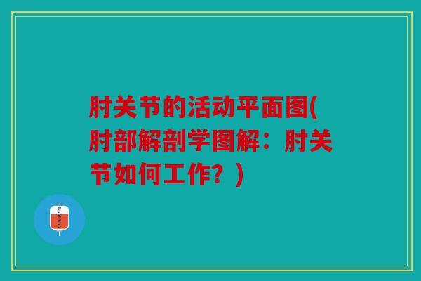 肘关节的活动平面图(肘部解剖学图解:肘关节如何工作?) 肘关节的活动平面图(肘部解剖学图解:肘关节如何工作?)
