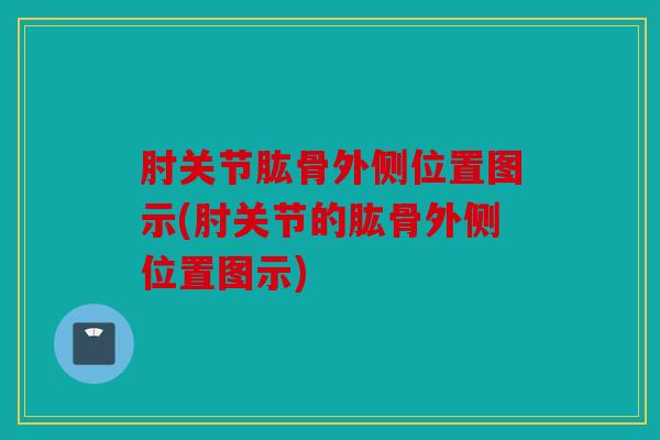 肘关节肱骨外侧位置图示(肘关节的肱骨外侧位置图示) 肘关节肱骨外侧位置图示(肘关节的肱骨外侧位置图示)