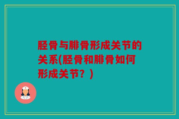 胫骨与腓骨形成关节的关系(胫骨和腓骨如何形成关节?) 胫骨与腓骨形成关节的关系(胫骨和腓骨如何形成关节?)