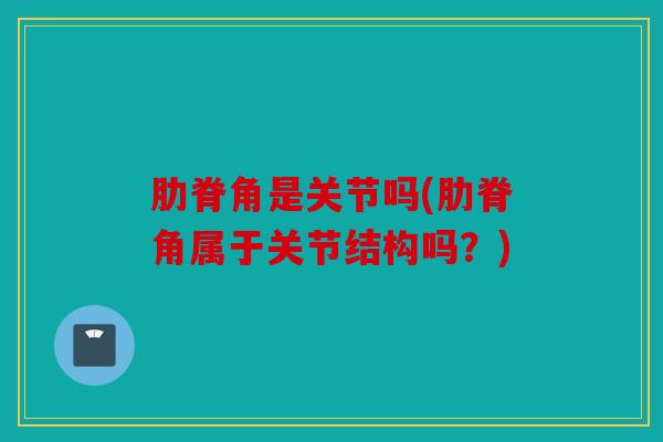 肋脊角是关节吗(肋脊角属于关节结构吗？)
