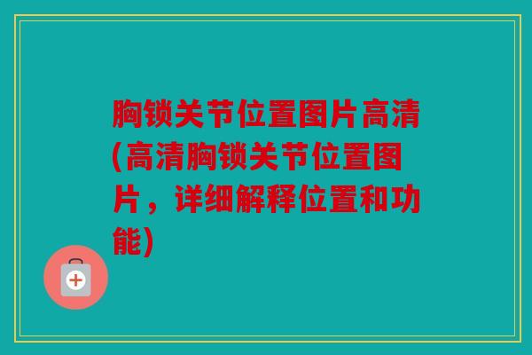 胸锁关节位置图片高清(高清胸锁关节位置图片,详细解释位置和功能) 胸锁关节位置图片高清(高清胸锁关节位置图片,详细解释位置和功能)