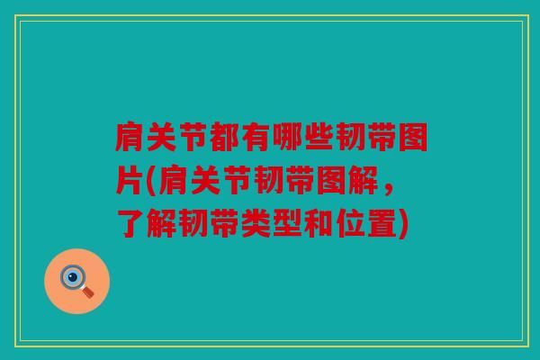 肩关节都有哪些韧带图片(肩关节韧带图解，了解韧带类型和位置)