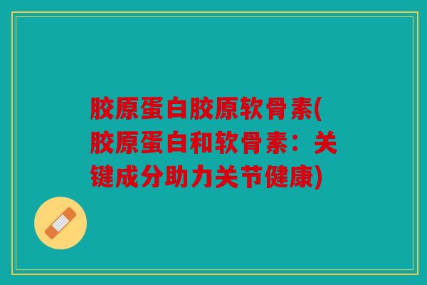 胶原蛋白胶原软骨素(胶原蛋白和软骨素:关键成分助力关节健康) 胶原蛋白胶原软骨素(胶原蛋白和软骨素:关键成分助力关节健康)