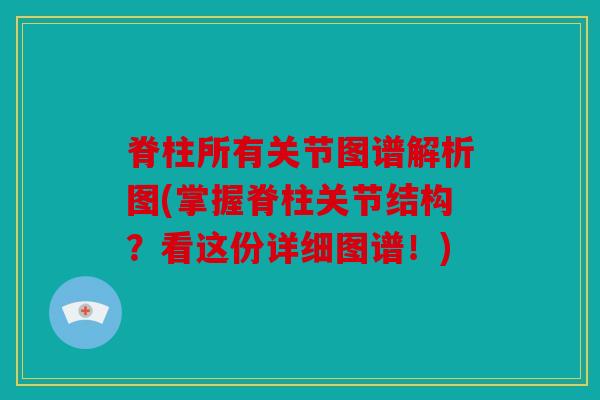脊柱所有关节图谱解析图(掌握脊柱关节结构?看这份详细图谱!) 脊柱所有关节图谱解析图(掌握脊柱关节结构?看这份详细图谱!)