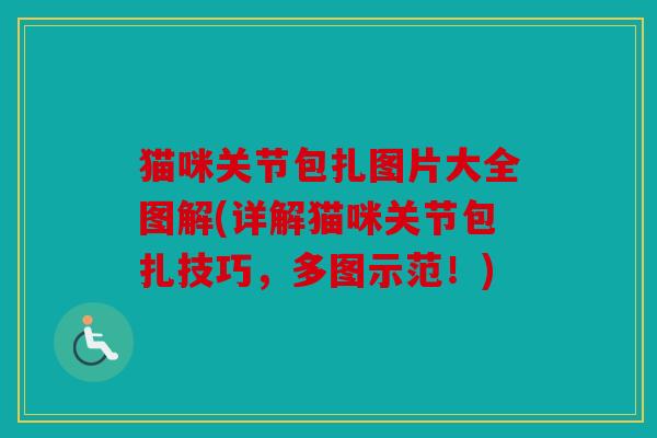 猫咪关节包扎图片大全图解(详解猫咪关节包扎技巧，多图示范！)
