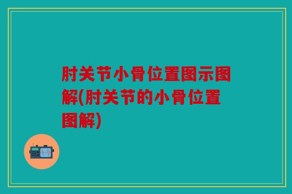 肘关节小骨位置图示图解(肘关节的小骨位置图解)