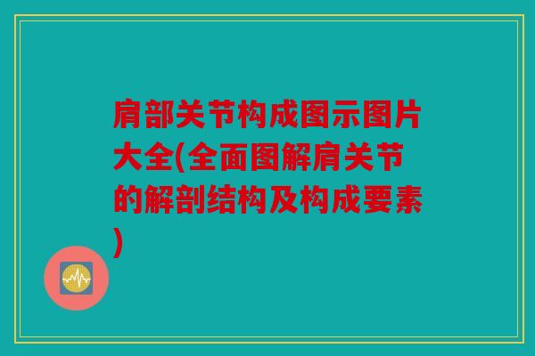 肩部关节构成图示图片大全(全面图解肩关节的解剖结构及构成要素)