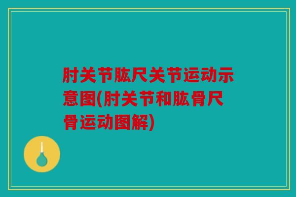 肘关节肱尺关节运动示意图(肘关节和肱骨尺骨运动图解)