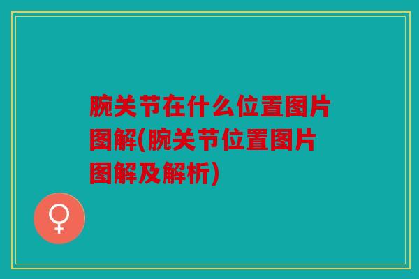 腕关节在什么位置图片图解(腕关节位置图片图解及解析)