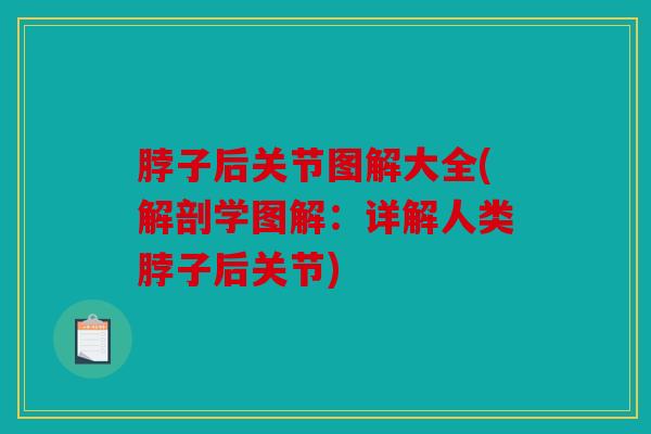脖子后关节图解大全(解剖学图解:详解人类脖子后关节) 脖子后关节图解大全(解剖学图解:详解人类脖子后关节)