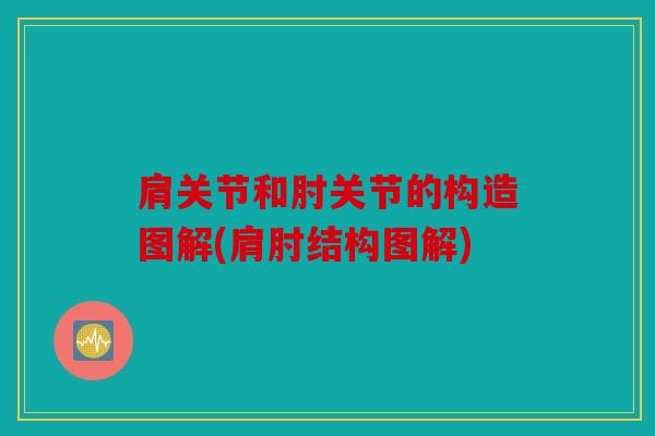 肩关节和肘关节的构造图解(肩肘结构图解)
