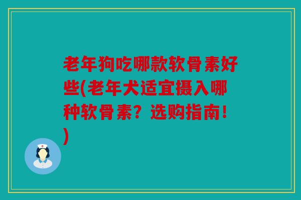 老年狗吃哪款软骨素好些(老年犬适宜摄入哪种软骨素?选购指南!) 老年狗吃哪款软骨素好些(老年犬适宜摄入哪种软骨素?选购指南!)
