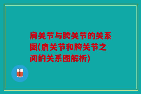 肩关节与胯关节的关系图(肩关节和胯关节之间的关系图解析) 肩关节与胯关节的关系图(肩关节和胯关节之间的关系图解析)