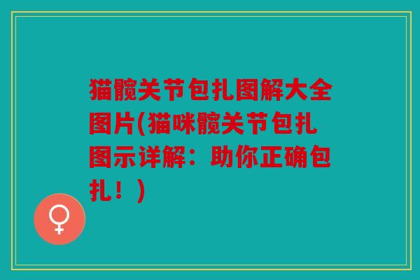 猫髋关节包扎图解大全图片(猫咪髋关节包扎图示详解：助你正确包扎！)