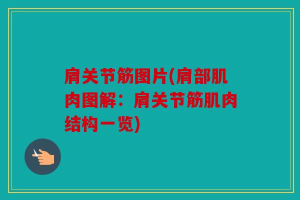 肩关节筋图片(肩部肌肉图解:肩关节筋肌肉结构一览) 肩关节筋图片(肩部肌肉图解:肩关节筋肌肉结构一览)