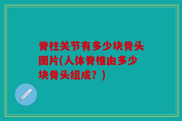 脊柱关节有多少块骨头图片(人体脊椎由多少块骨头组成?) 脊柱关节有多少块骨头图片(人体脊椎由多少块骨头组成?)