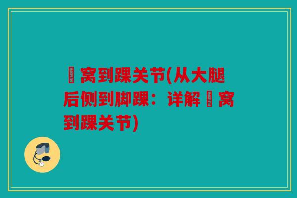 腘窝到踝关节(从大腿后侧到脚踝：详解腘窝到踝关节)