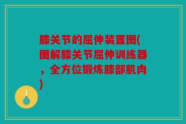 膝关节的屈伸装置图(图解膝关节屈伸训练器，全方位锻炼膝部肌肉)