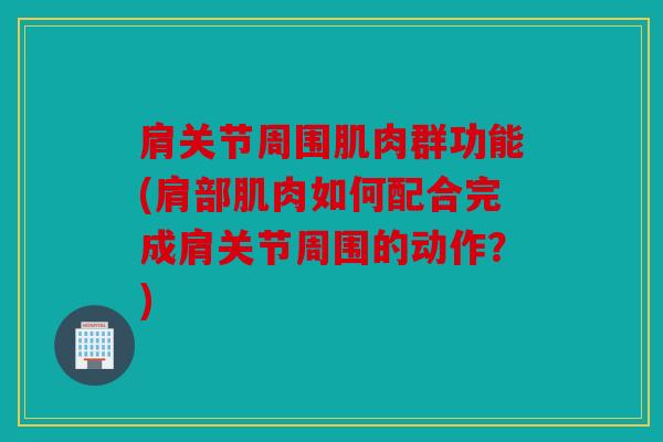 肩关节周围肌肉群功能(肩部肌肉如何配合完成肩关节周围的动作?) 肩关节周围肌肉群功能(肩部肌肉如何配合完成肩关节周围的动作?)