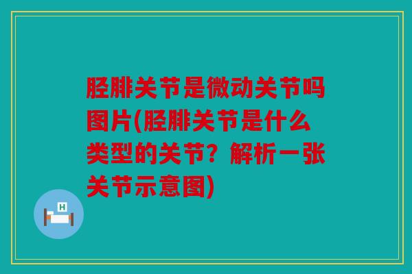 胫腓关节是微动关节吗图片(胫腓关节是什么类型的关节？解析一张关节示意图)