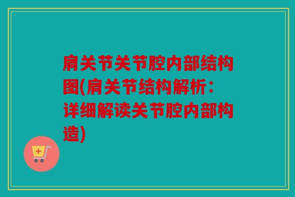 肩关节关节腔内部结构图(肩关节结构解析：详细解读关节腔内部构造)