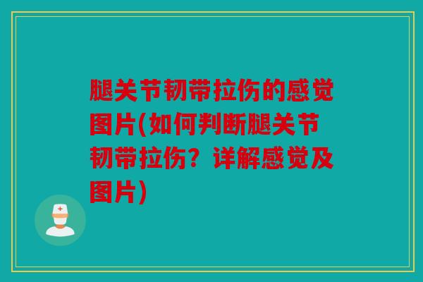 腿关节韧带拉伤的感觉图片(如何判断腿关节韧带拉伤?详解感觉及图片) 腿关节韧带拉伤的感觉图片(如何判断腿关节韧带拉伤?详解感觉及图片)