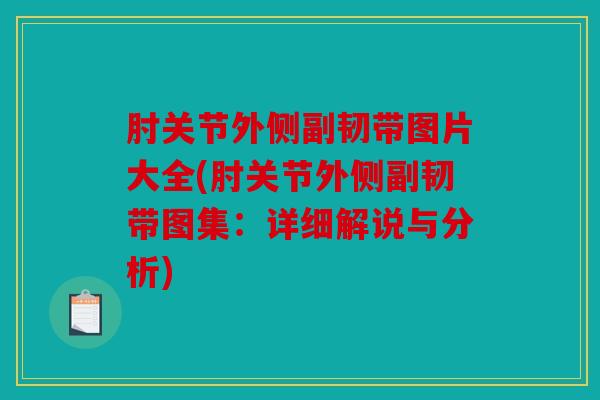 肘关节外侧副韧带图片大全(肘关节外侧副韧带图集：详细解说与分析)
