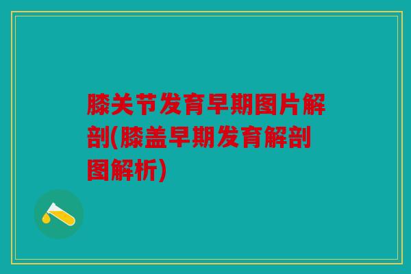膝关节发育早期图片解剖(膝盖早期发育解剖图解析) 膝关节发育早期图片解剖(膝盖早期发育解剖图解析)