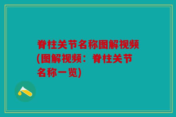 脊柱关节名称图解视频(图解视频：脊柱关节名称一览)