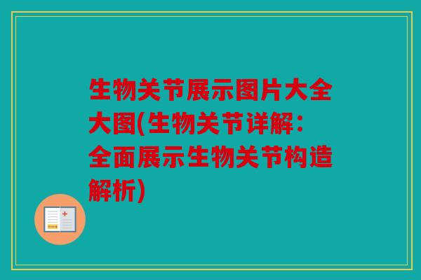 生物关节展示图片大全大图(生物关节详解：全面展示生物关节构造解析)