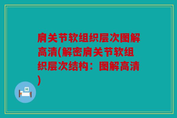 肩关节软组织层次图解高清(解密肩关节软组织层次结构:图解高清) 肩关节软组织层次图解高清(解密肩关节软组织层次结构:图解高清)