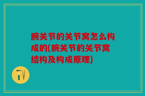 腕关节的关节窝怎么构成的(腕关节的关节窝结构及构成原理) 腕关节的关节窝怎么构成的(腕关节的关节窝结构及构成原理)
