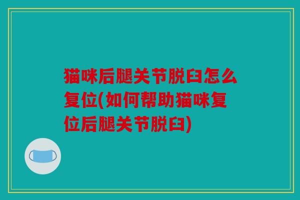 猫咪后腿关节脱臼怎么复位(如何帮助猫咪复位后腿关节脱臼) 猫咪后腿关节脱臼怎么复位(如何帮助猫咪复位后腿关节脱臼)