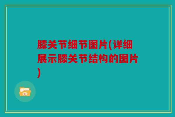 膝关节细节图片(详细展示膝关节结构的图片)