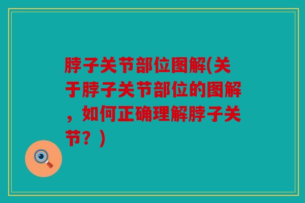 脖子关节部位图解(关于脖子关节部位的图解,如何正确理解脖子关节?) 脖子关节部位图解(关于脖子关节部位的图解,如何正确理解脖子关节?)