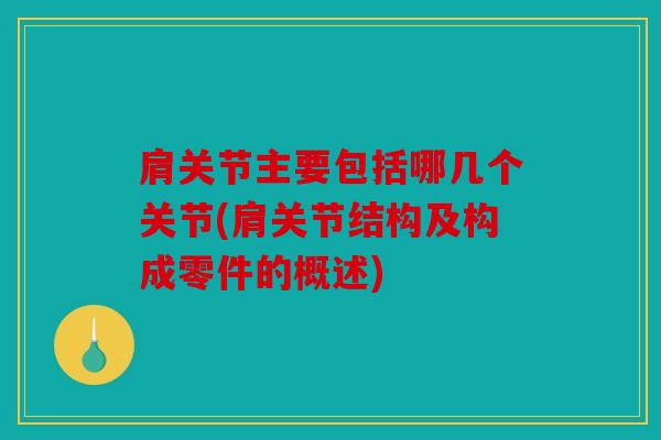 肩关节主要包括哪几个关节(肩关节结构及构成零件的概述) 肩关节主要包括哪几个关节(肩关节结构及构成零件的概述)