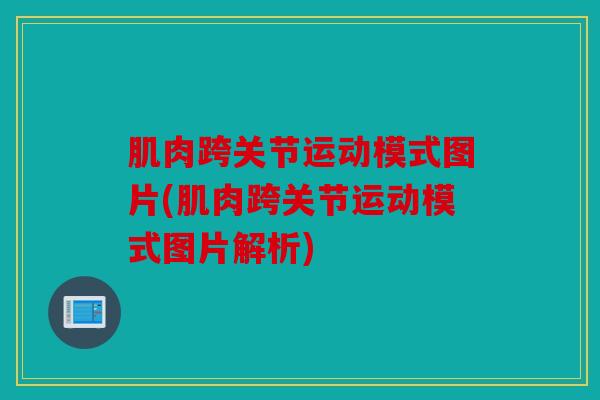 肌肉跨关节运动模式图片(肌肉跨关节运动模式图片解析)