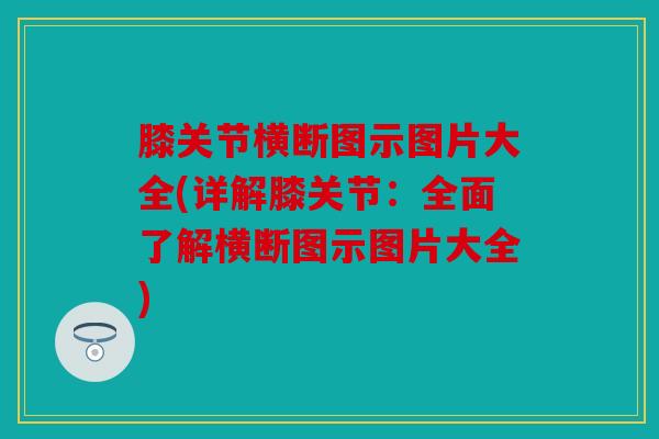 膝关节横断图示图片大全(详解膝关节:全面了解横断图示图片大全) 膝关节横断图示图片大全(详解膝关节:全面了解横断图示图片大全)