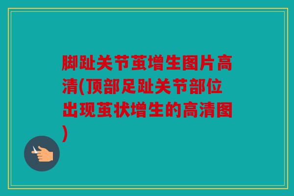 脚趾关节茧增生图片高清(顶部足趾关节部位出现茧状增生的高清图) 脚趾关节茧增生图片高清(顶部足趾关节部位出现茧状增生的高清图)