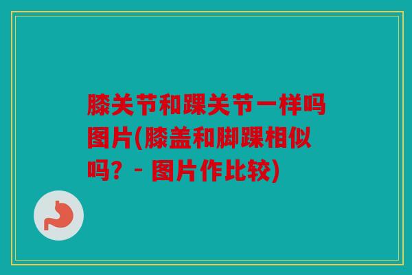 膝关节和踝关节一样吗图片(膝盖和脚踝相似吗?- 图片作比较) 膝关节和踝关节一样吗图片(膝盖和脚踝相似吗?- 图片作比较)