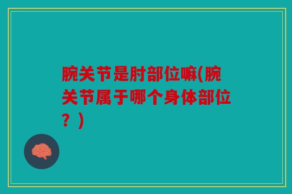 腕关节是肘部位嘛(腕关节属于哪个身体部位？)