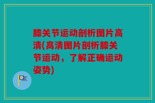 膝关节运动剖析图片高清(高清图片剖析膝关节运动,了解正确运动姿势) 膝关节运动剖析图片高清(高清图片剖析膝关节运动,了解正确运动姿势)
