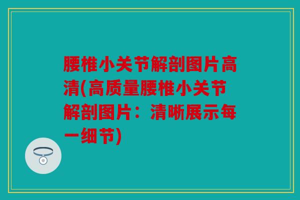 腰椎小关节解剖图片高清(高质量腰椎小关节解剖图片：清晰展示每一细节)