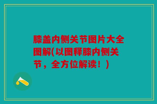 膝盖内侧关节图片大全图解(以图释膝内侧关节,全方位解读!) 膝盖内侧关节图片大全图解(以图释膝内侧关节,全方位解读!)