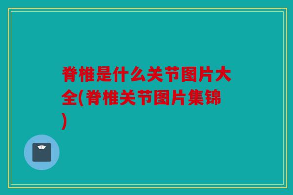 脊椎是什么关节图片大全(脊椎关节图片集锦) 脊椎是什么关节图片大全(脊椎关节图片集锦)