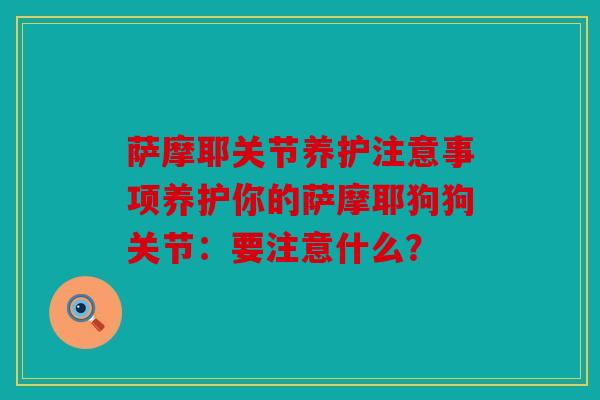 萨摩耶关节养护注意事项养护你的萨摩耶狗狗关节:要注意什么? 萨摩耶关节养护注意事项养护你的萨摩耶狗狗关节:要注意什么?