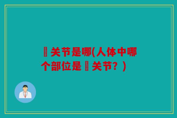 臗关节是哪(人体中哪个部位是臗关节？)