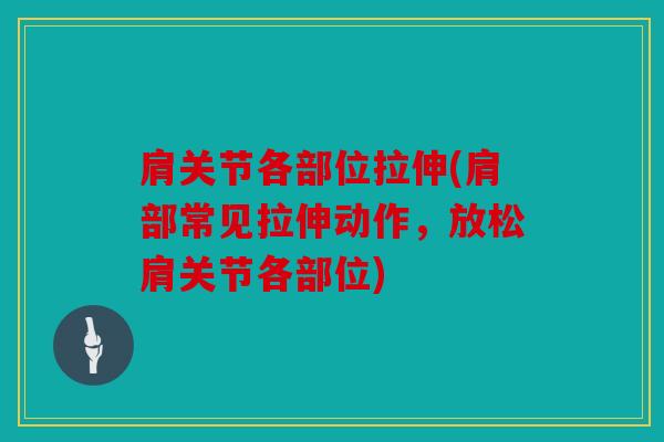 肩关节各部位拉伸(肩部常见拉伸动作,放松肩关节各部位) 肩关节各部位拉伸(肩部常见拉伸动作,放松肩关节各部位)