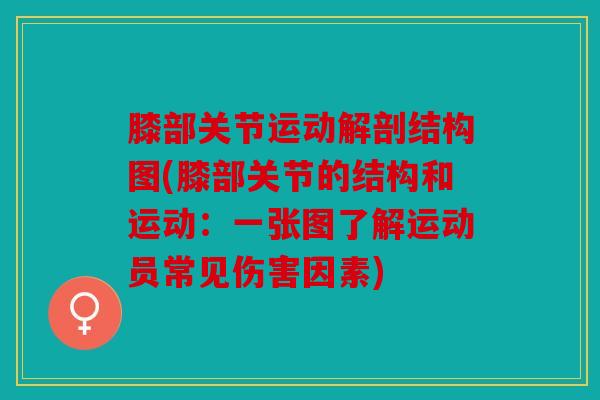 膝部关节运动解剖结构图(膝部关节的结构和运动:一张图了解运动员常见伤害因素) 膝部关节运动解剖结构图(膝部关节的结构和运动:一张图了解运动员常见伤害因素)