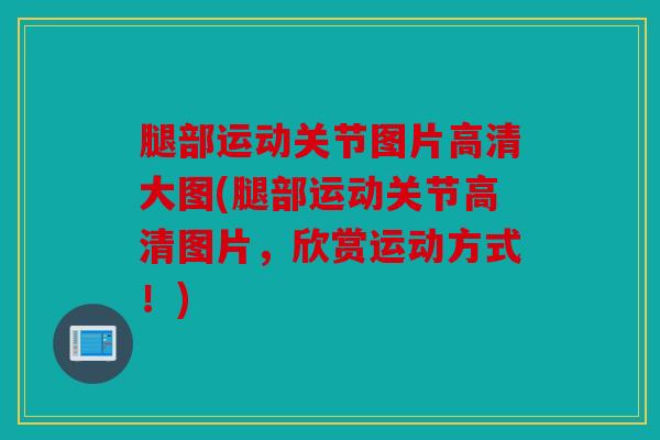 腿部运动关节图片高清大图(腿部运动关节高清图片，欣赏运动方式！)